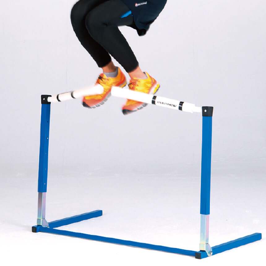 hurdle-biyonimg3.jpg