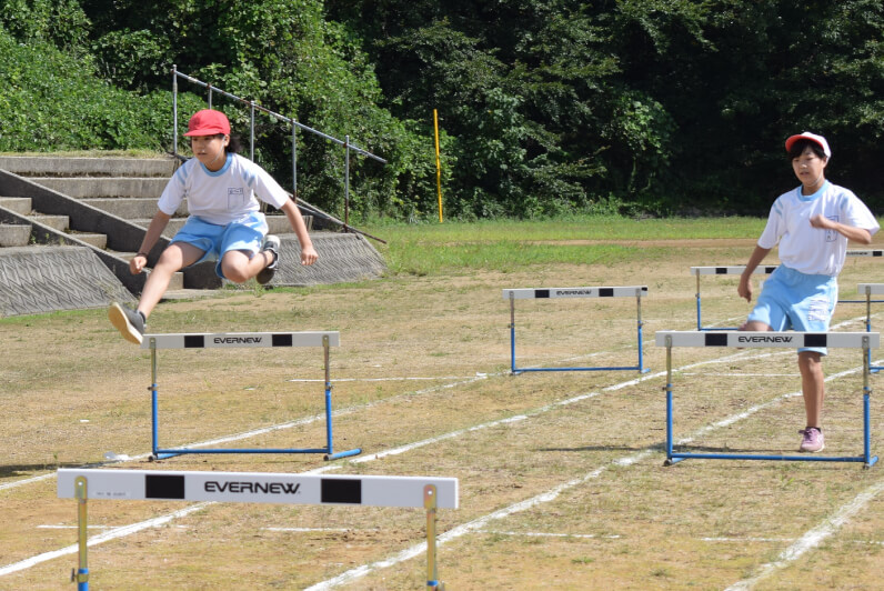 hurdle-eve-step3.jpg